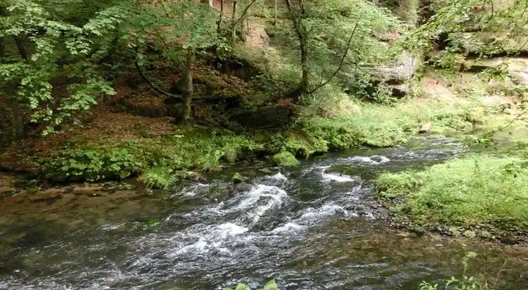 Ferielejlighed i Kirnitzschtal