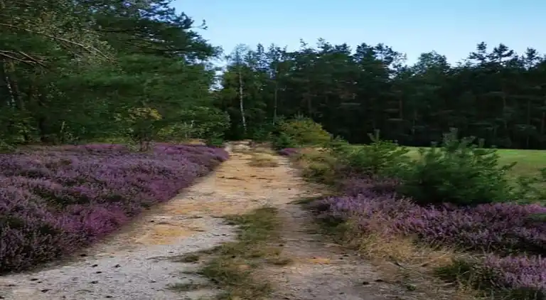 Holiday home in Mittelndorf