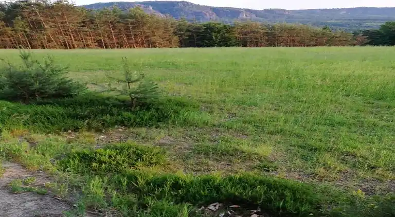 Ferielejlighed i Kirnitzschtal