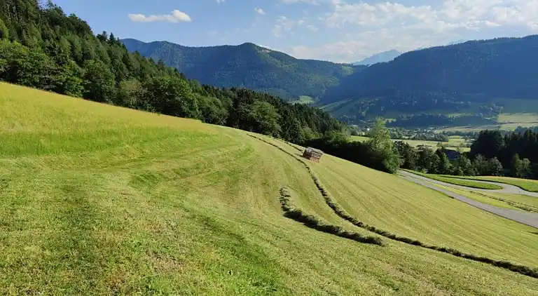 Ferielejlighed i Ransburg