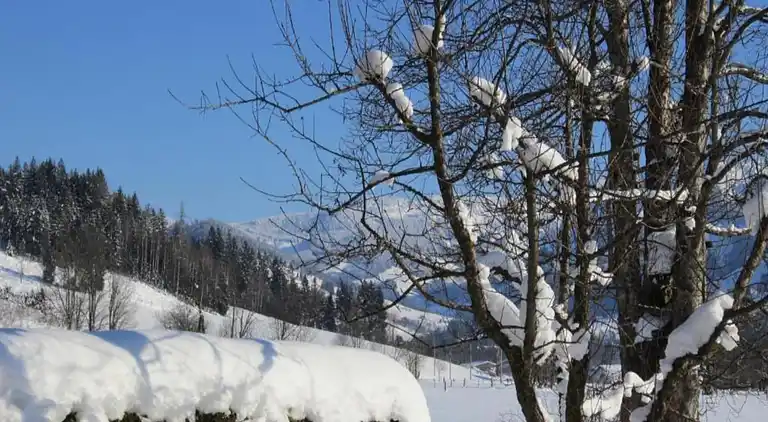 Ferielejlighed i Ransburg