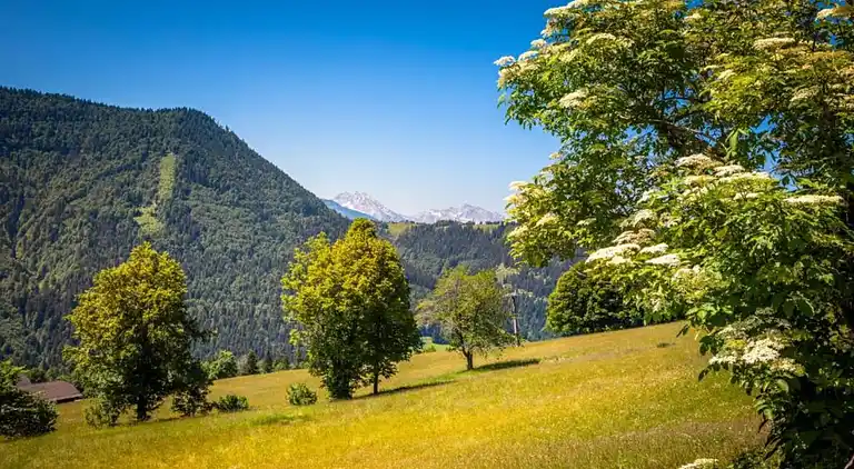 Ferielejlighed i Ransburg