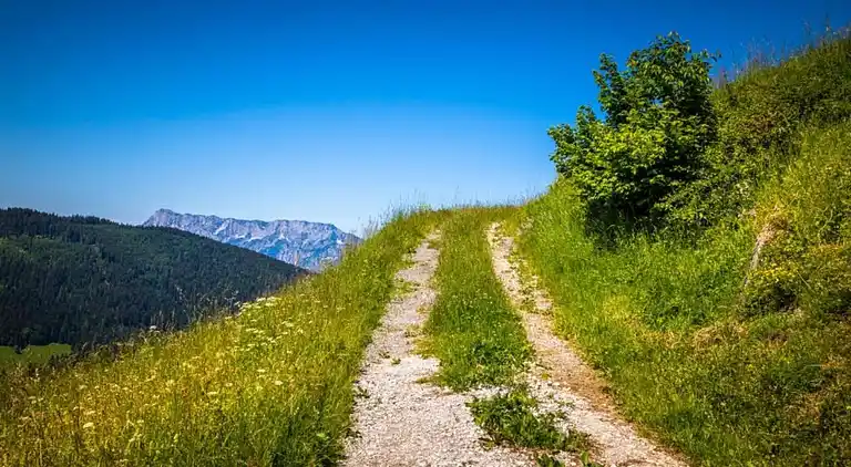 Apartment in Mittersill