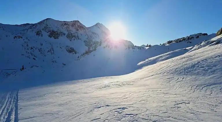 Apartment in Mittersill