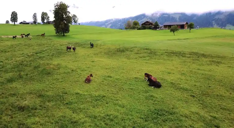 Semesterbostad i Maria Alm am Steinernen Meer