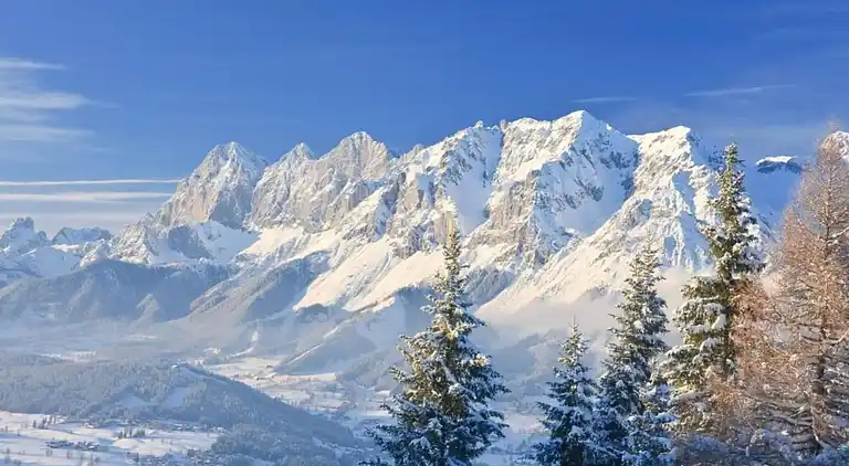 Apartment in Saalfelden