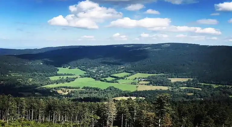 Ferielejlighed i Igelsdorf