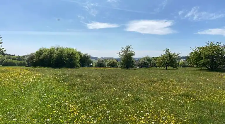 Ferielejlighed i Igelsdorf