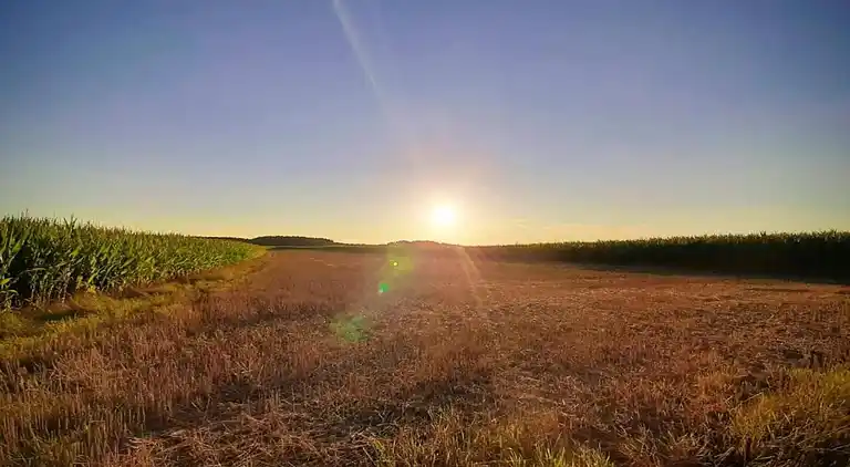 Ferielejlighed i Igelsdorf