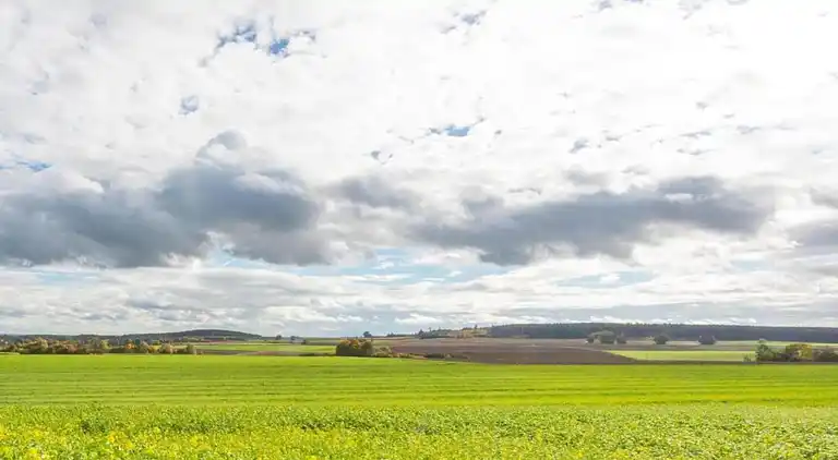 Ferielejlighed i Igelsdorf