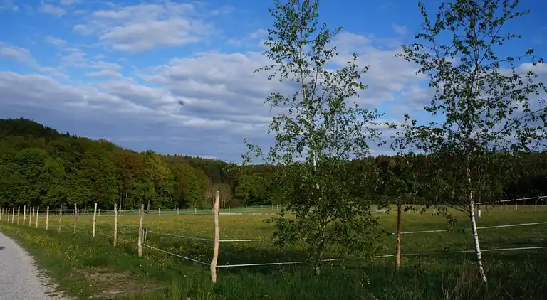 Sommerhus i Weißenburg in Bayern