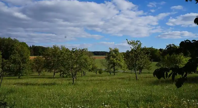 Feriebolig i Neunburg