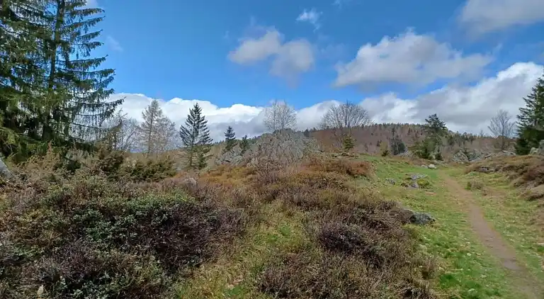 Ferielejlighed i Eslarn