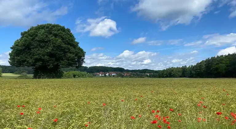 Sommerhus i Weißenburg in Bayern