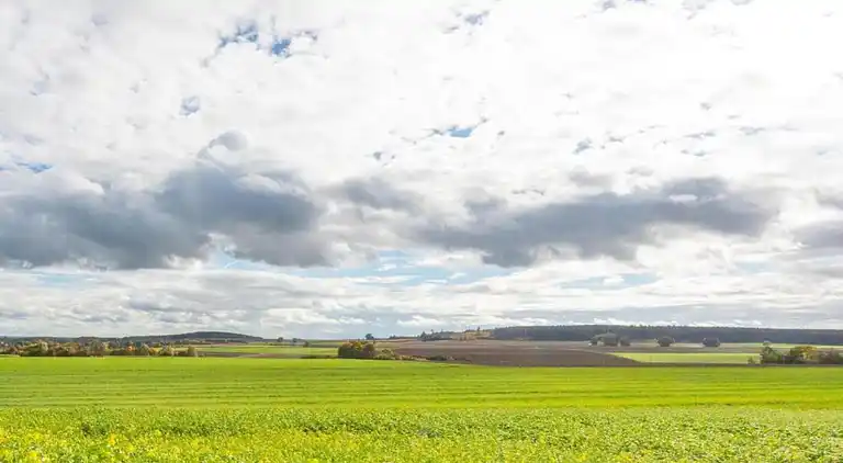 Feriebolig i Neunburg