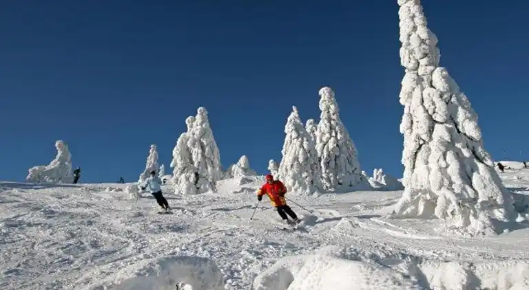 Ferielejlighed i Eslarn