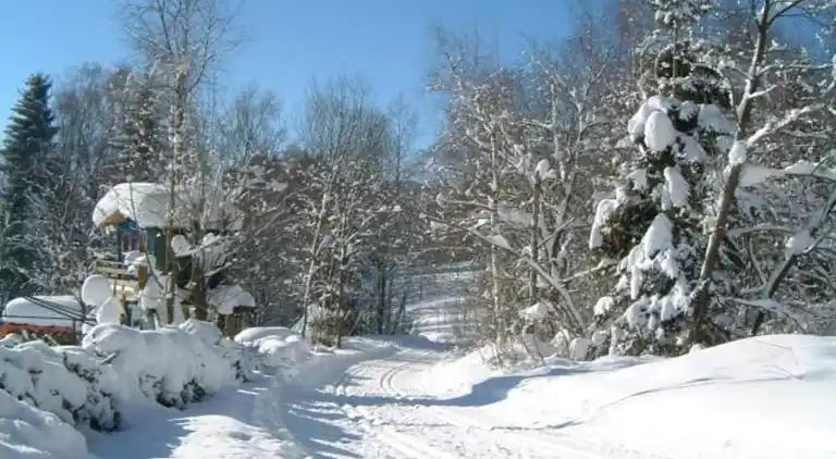 Ferielejlighed i Igelsdorf