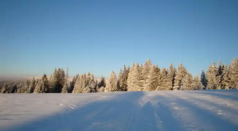 Ferielejlighed i Gleißenberg