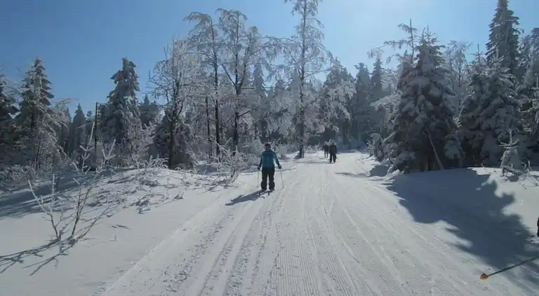 Appartement in Gleißenberg