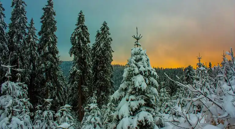 Ferielejlighed i Hengersberg