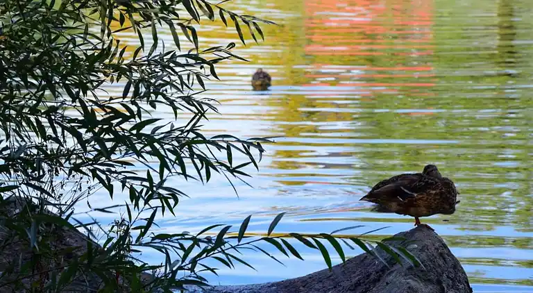 Holiday home in Saldenburg