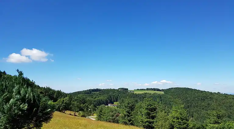 Sommerhus i Schöfweg