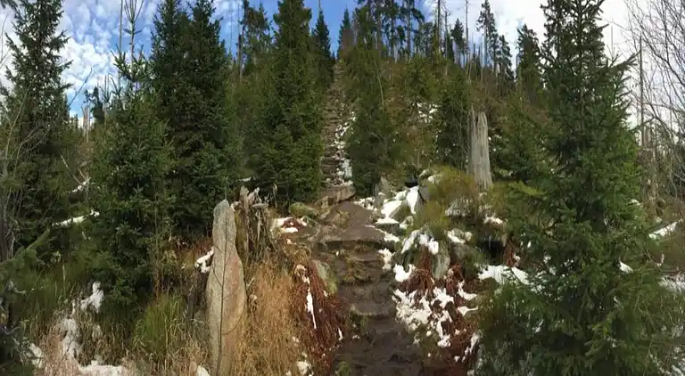 Sommerhus i Schöfweg