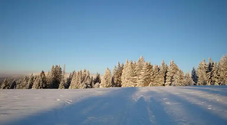 Sommerhus i Schöfweg