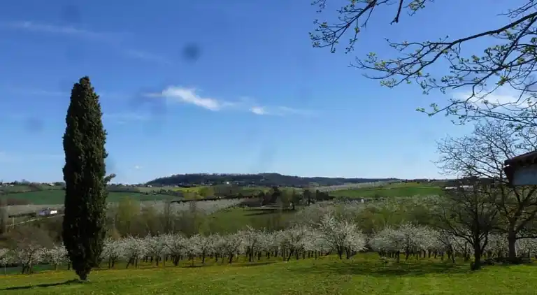 Cottage in Castelmoron-sur-Lot