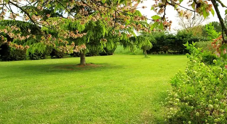 Cottage in Castelmoron-sur-Lot