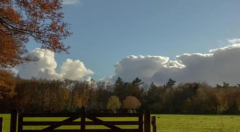 Holiday home in Gedinne