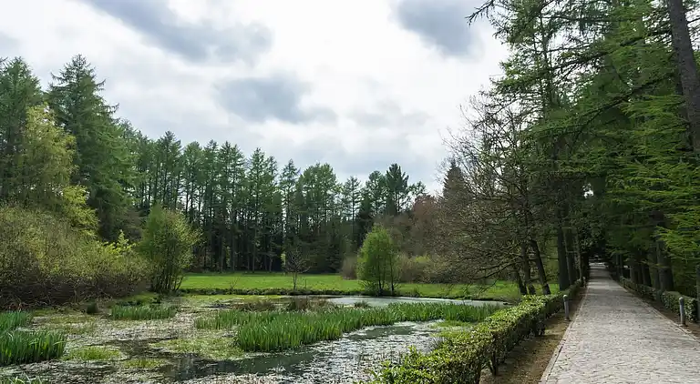 Holiday home in Gedinne