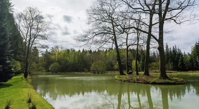 Holiday home in Gedinne