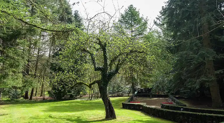 Holiday home in Gedinne