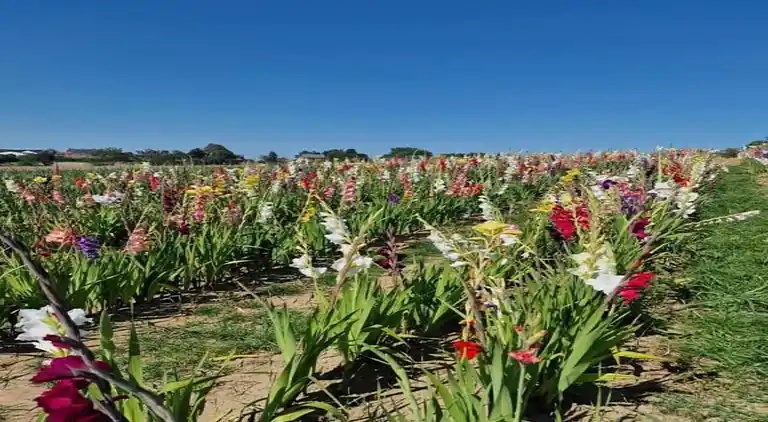 Holiday home in Marcourt