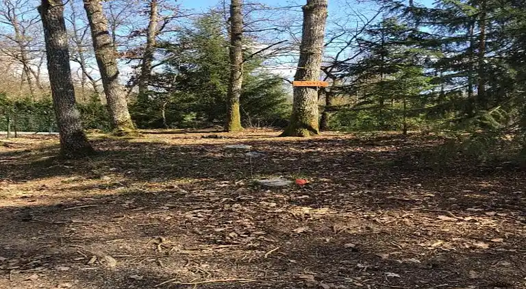 Cottage in Barvaux-sur-Ourthe