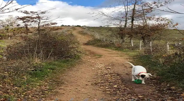Cottage in Barvaux-sur-Ourthe