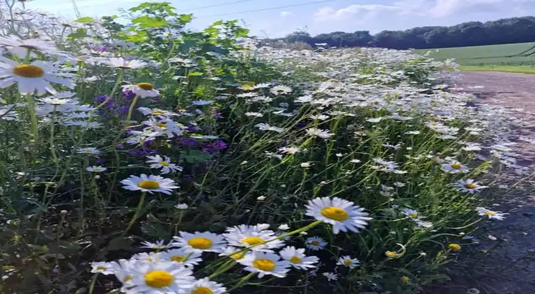 Holiday home in Marcourt