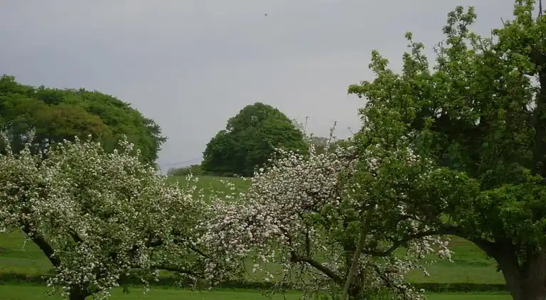 Sommerhus i Limbourg