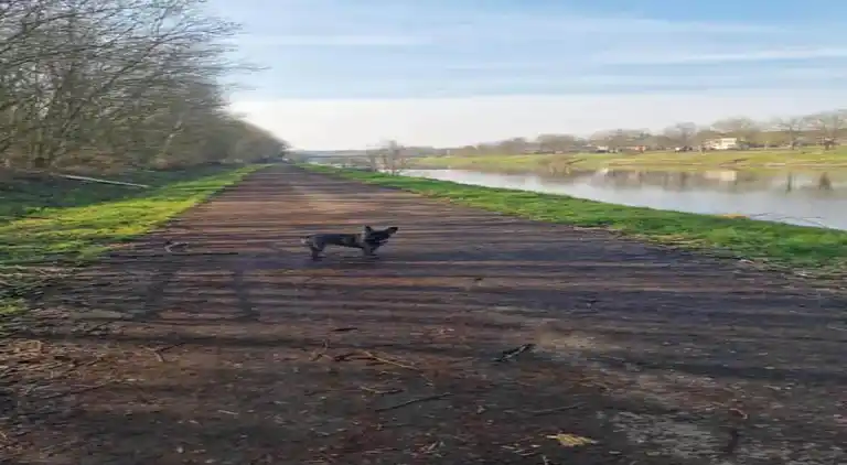 Holiday home in Marcourt