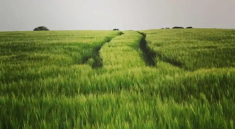 Holiday home in Bévercé