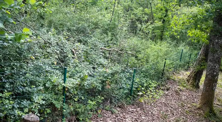 Cottage in Barvaux-sur-Ourthe