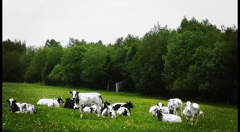 Holiday home in Stavelot