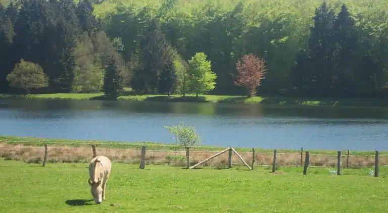 Holiday home in Stavelot