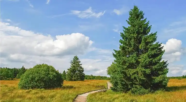 Apartment in Robertville