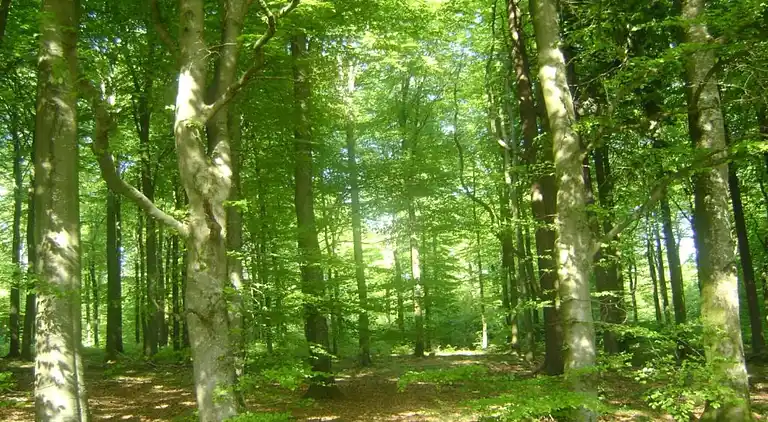 Holiday home in Stavelot