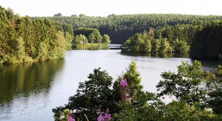 Apartment in Robertville