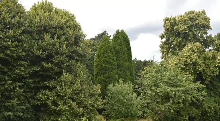 Sommerhus i Limbourg