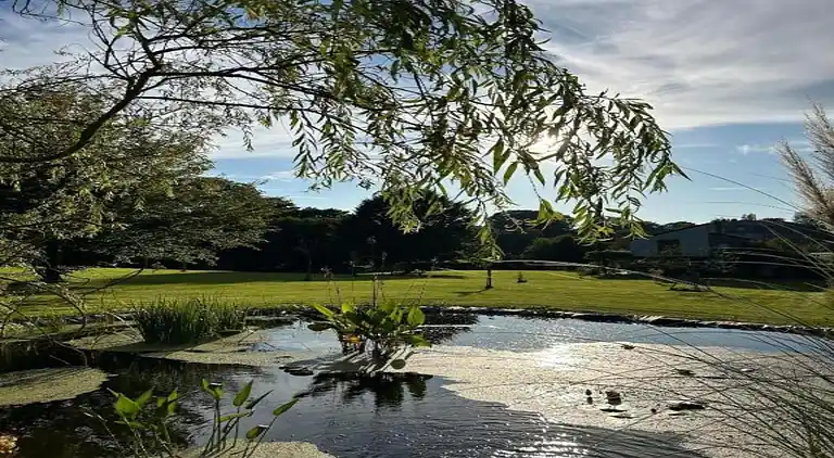 Sommerhus i Limbourg