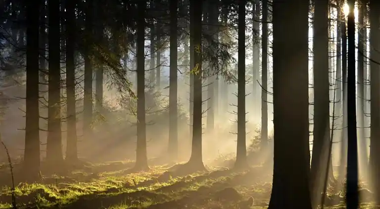 Maison de vacances en Ferrières
